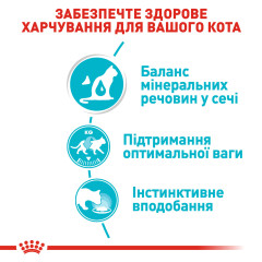 Вологий корм для дорослих котів ROYAL CANIN URINARY CARE 85 г x 12 шт